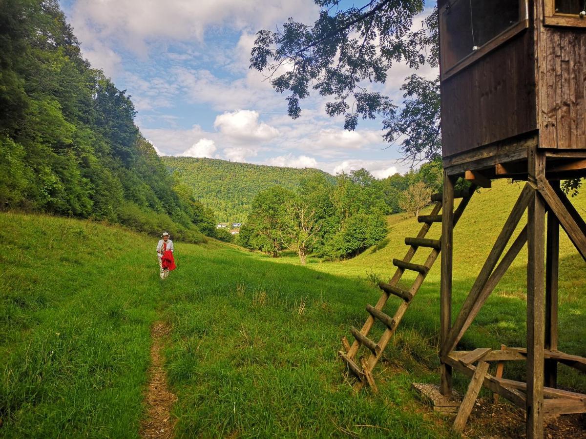 Ferienwohnung Im Haus Lotus Mit Grossem Balkon Und Garten Bad Urach Exteriér fotografie